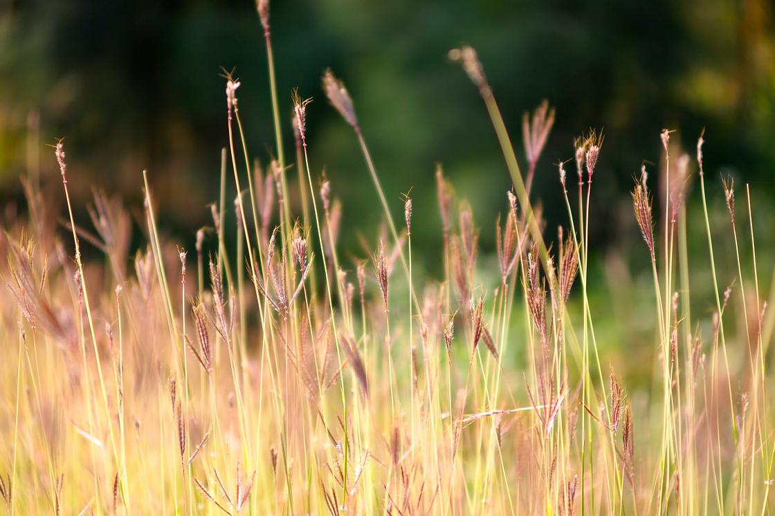 Fugiat et natus quibusdam voluptatibus sequi cumque